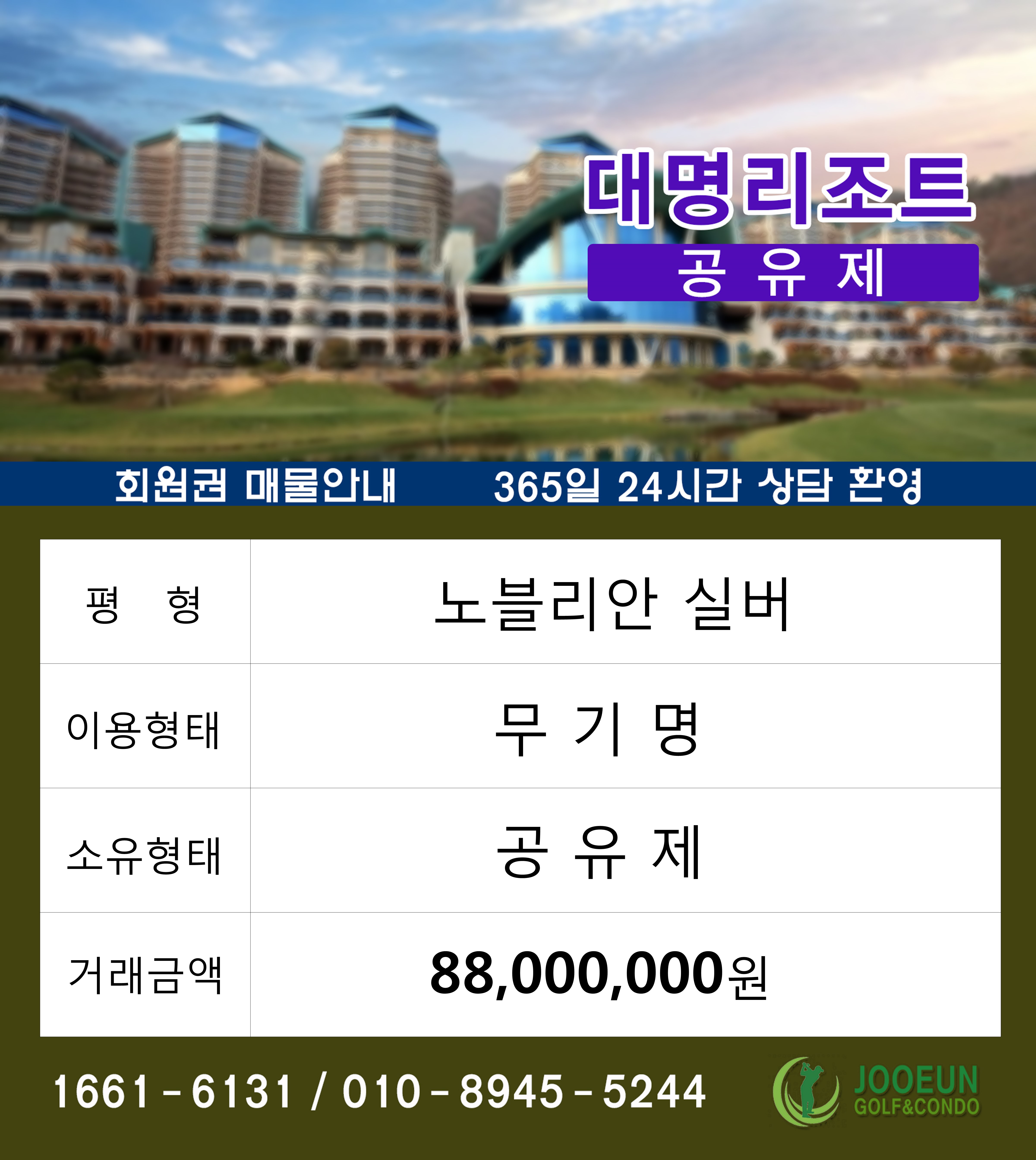 대명리조트 회원권 실버 노블리안 무기명 공유제