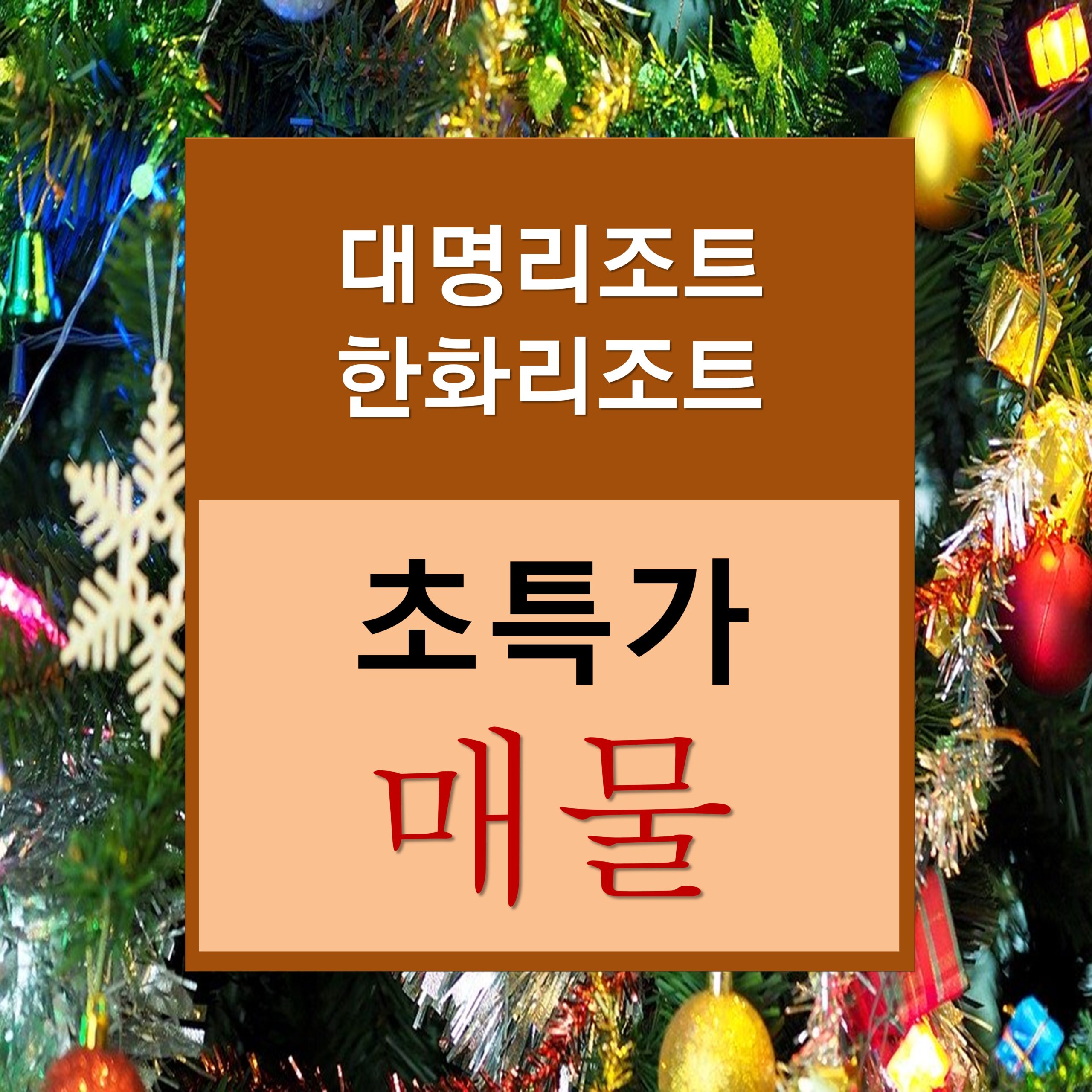대명리조트 추천매물