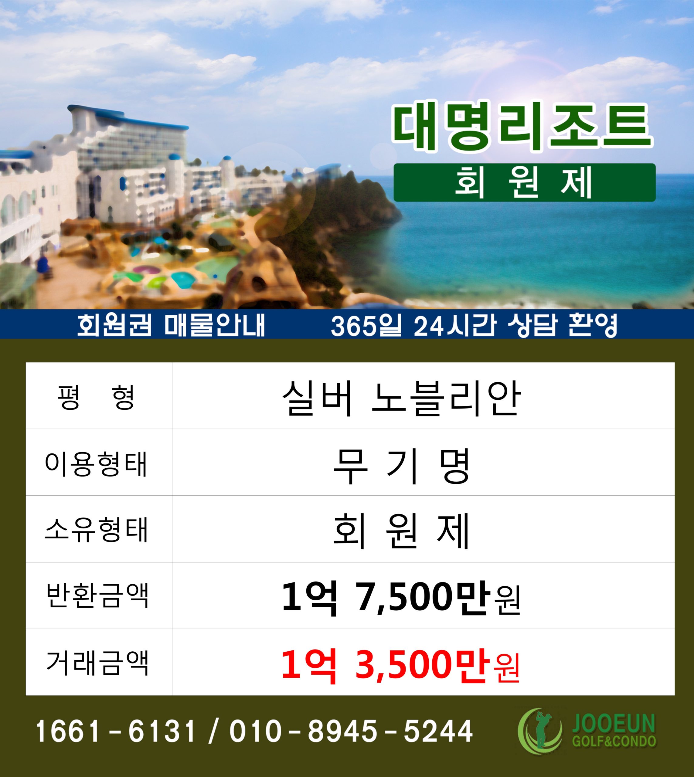 대명리조트 실버 노블리안 무기명 회원제
