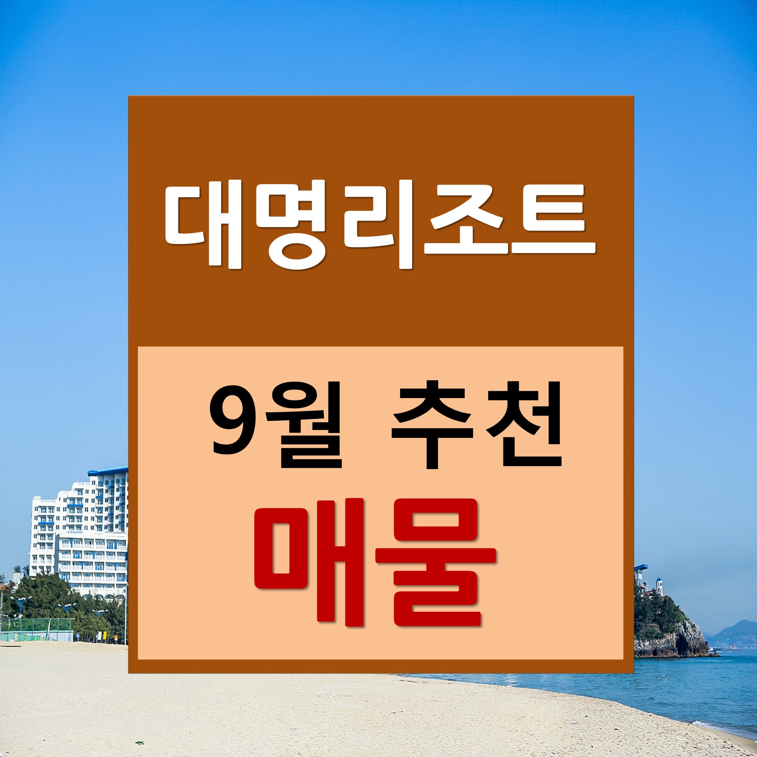 대명리조트 회원권 9월 추천매물ㄹ